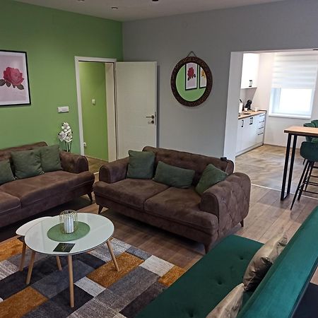 Dream House Apartment Vrsac Luaran gambar