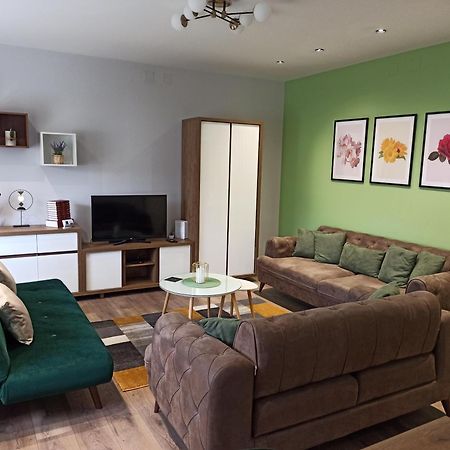 Dream House Apartment Vrsac Luaran gambar