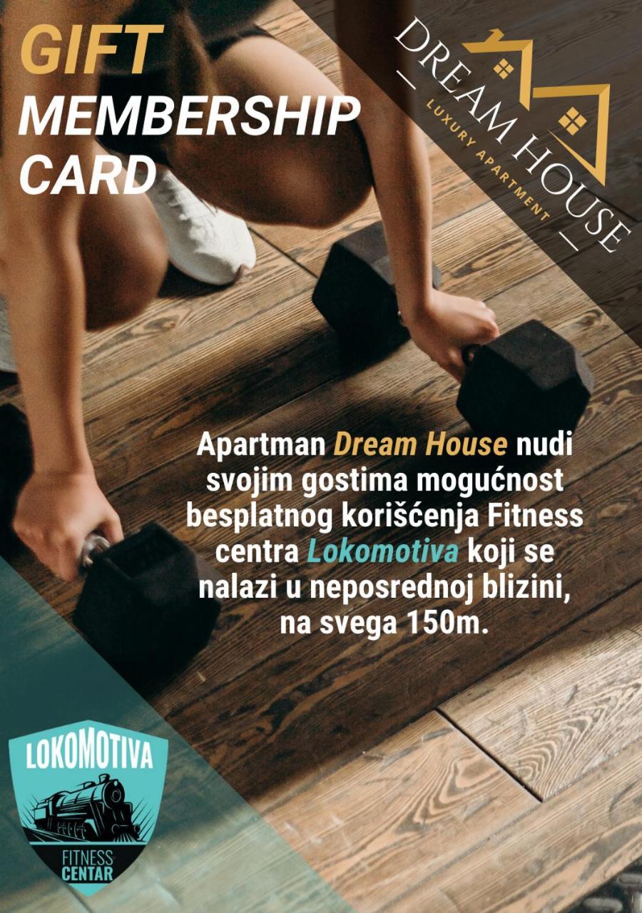 Dream House Apartment Vrsac Luaran gambar