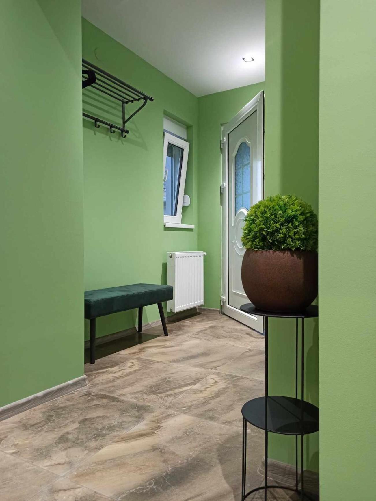 Dream House Apartment Vrsac Luaran gambar